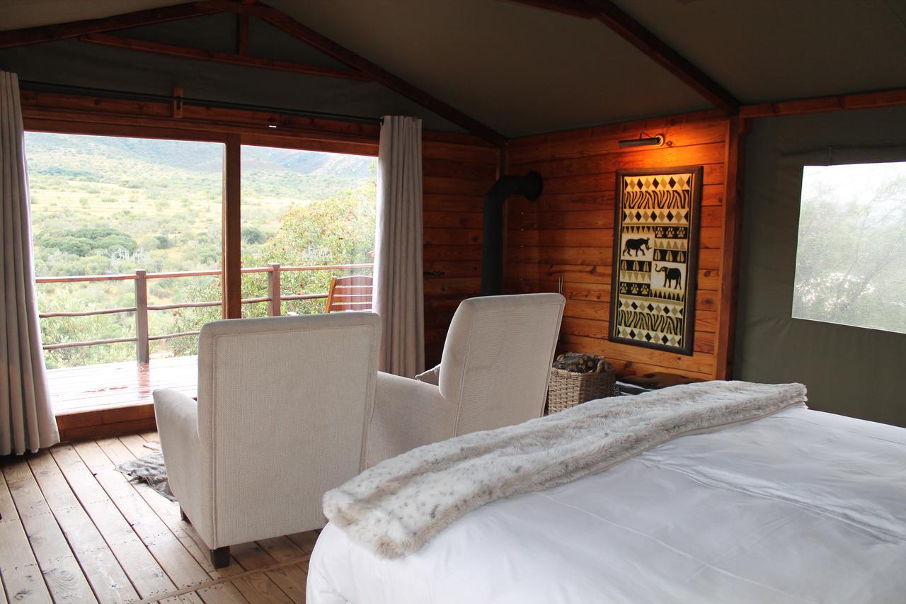 Addo Elephant Lodge & Safaris Kirkwood Exteriér fotografie