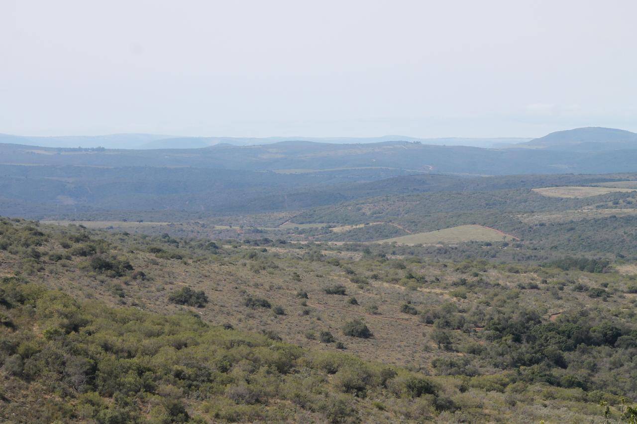 Addo Elephant Lodge & Safaris Kirkwood Exteriér fotografie