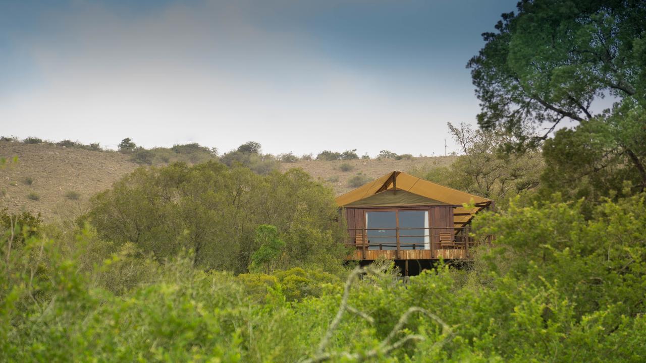 Addo Elephant Lodge & Safaris Kirkwood Exteriér fotografie