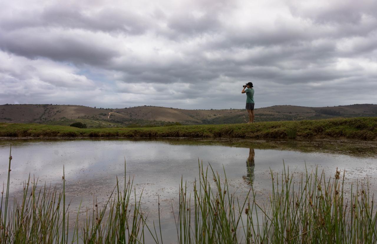Addo Elephant Lodge & Safaris Kirkwood Exteriér fotografie