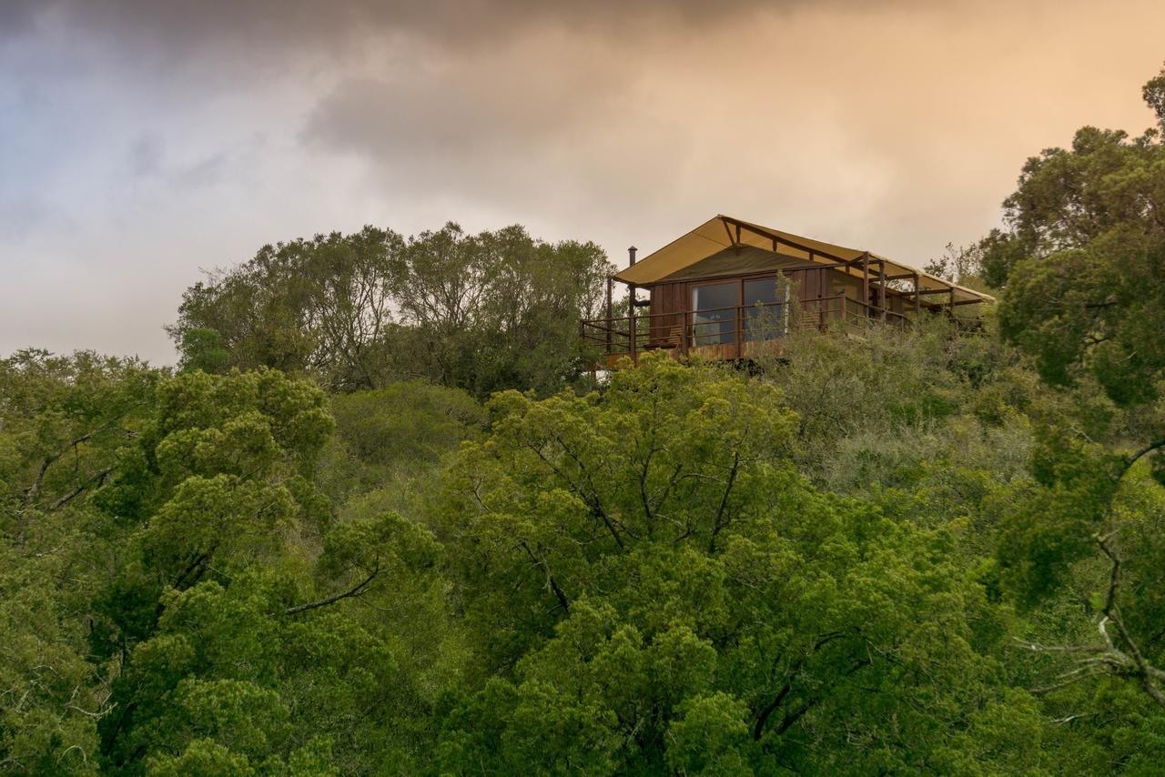 Addo Elephant Lodge & Safaris Kirkwood Exteriér fotografie
