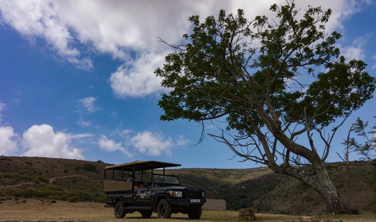 Addo Elephant Lodge & Safaris Kirkwood Exteriér fotografie
