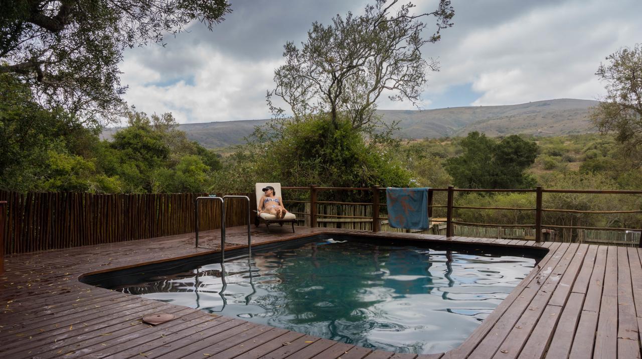 Addo Elephant Lodge & Safaris Kirkwood Exteriér fotografie