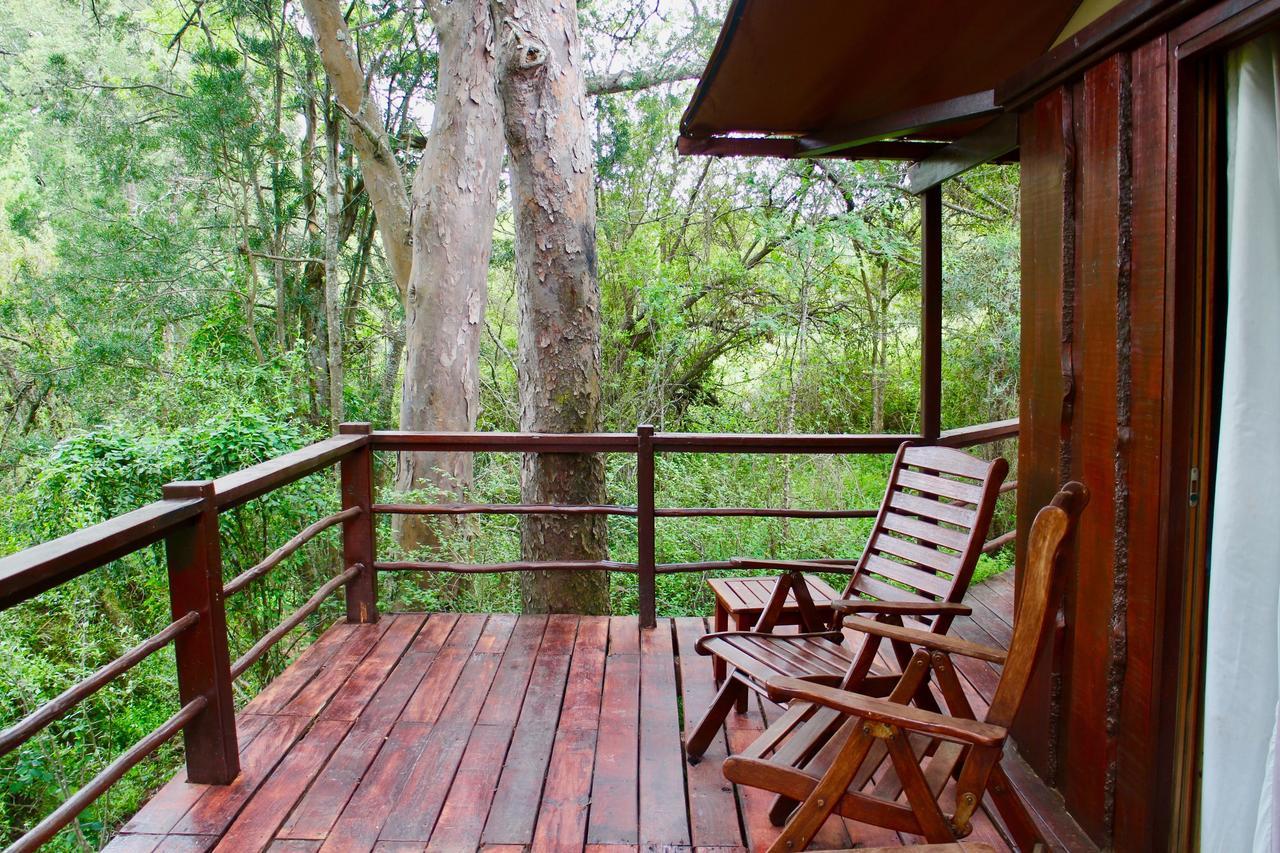 Addo Elephant Lodge & Safaris Kirkwood Exteriér fotografie