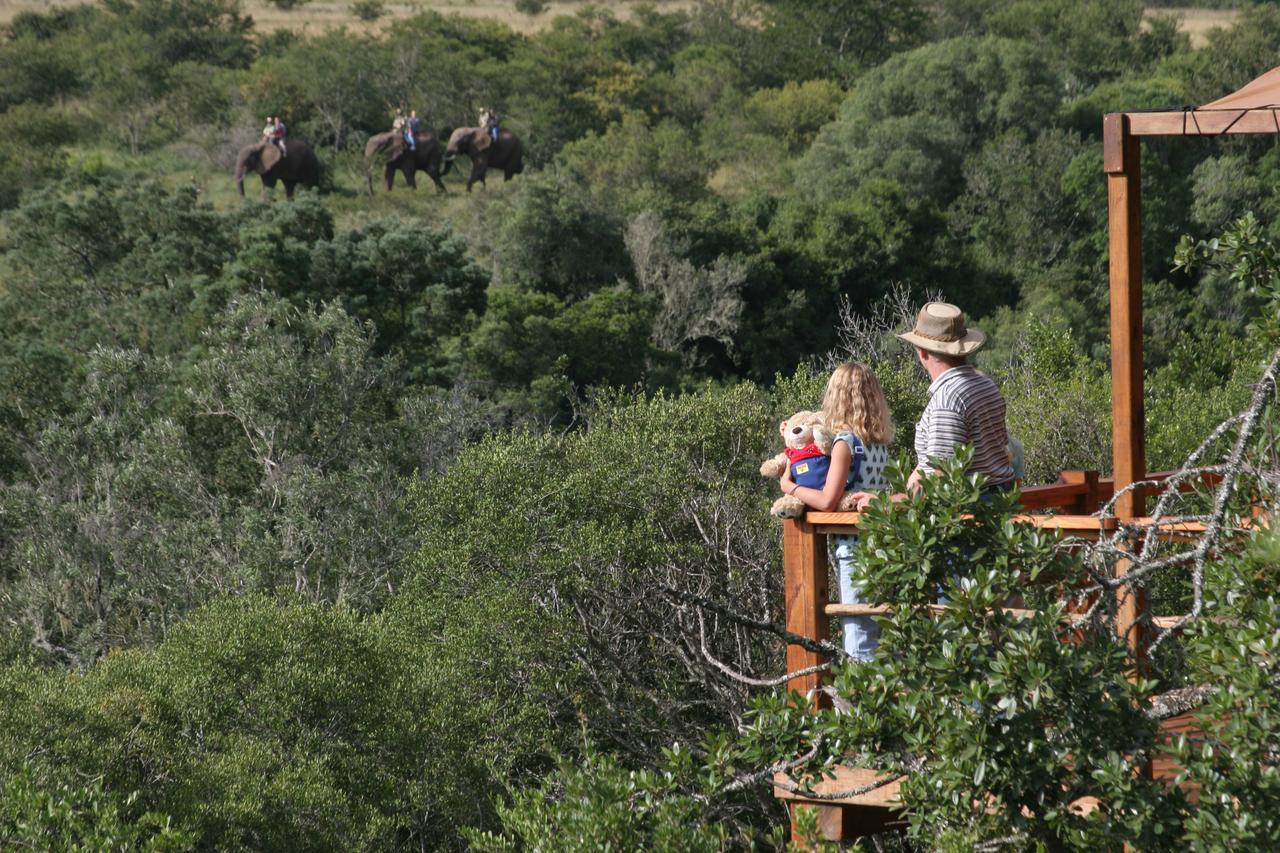 Addo Elephant Lodge & Safaris Kirkwood Exteriér fotografie