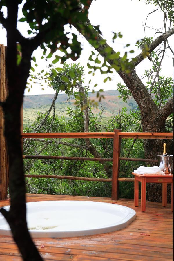 Addo Elephant Lodge & Safaris Kirkwood Exteriér fotografie